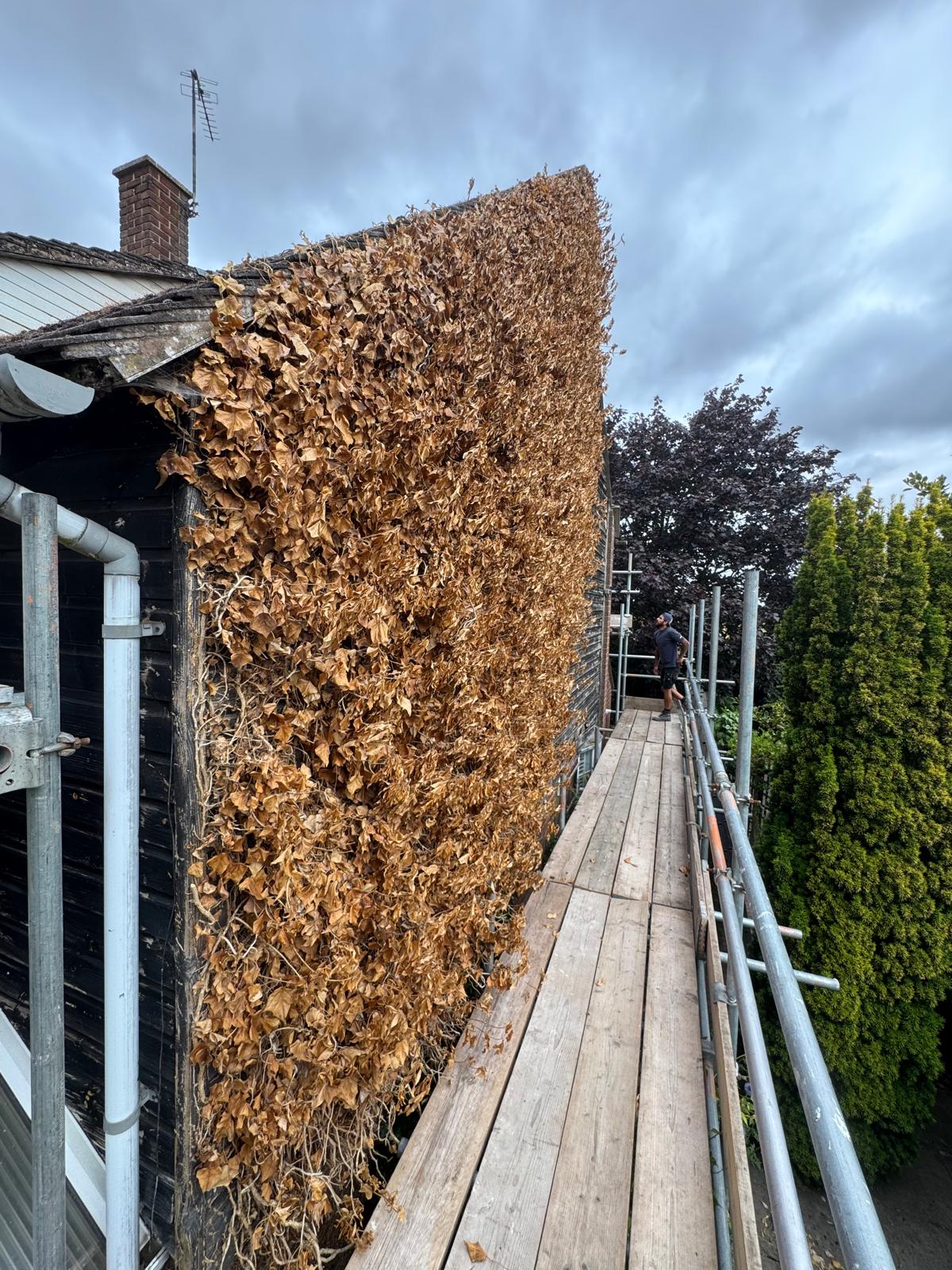 StormShield Roofing Cladding Transformation